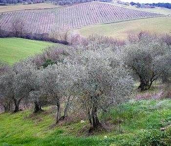 Casa de Campo Fullino Nero Rta - Residenza Turistico Alberghiera Siena